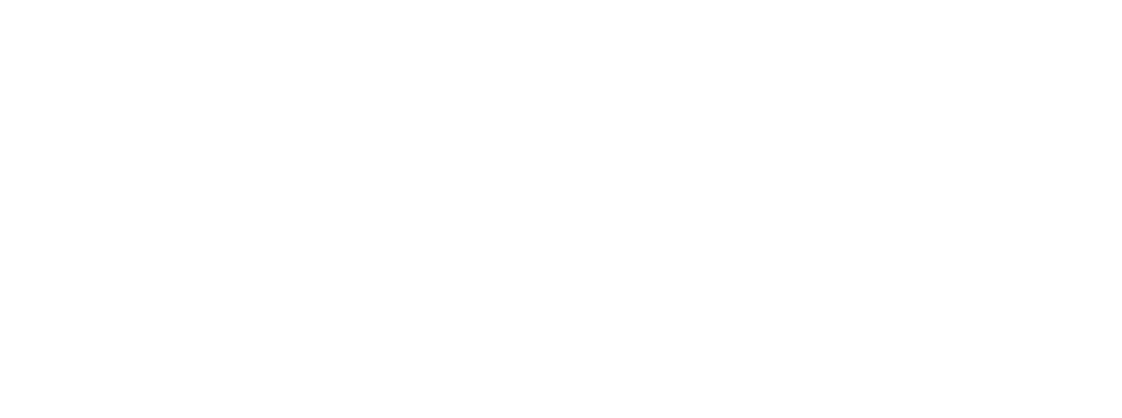 Project Sound Check